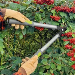 Discount Tempsl Sécateur