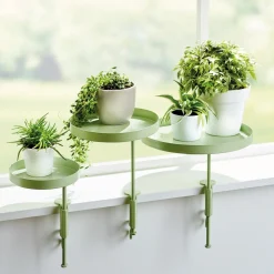 Outlet Tempsl Support plantes : divers coloris