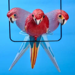 Best Tempsl Suspension perroquet