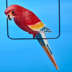 Best Tempsl Suspension perroquet