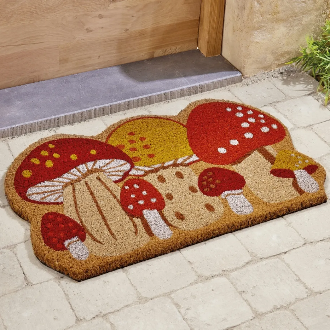 Tempsl Tapis champignons