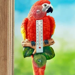 Discount Tempsl Thermomètre perroquet