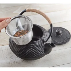 Hot Tempsl Théière fonte japonaise